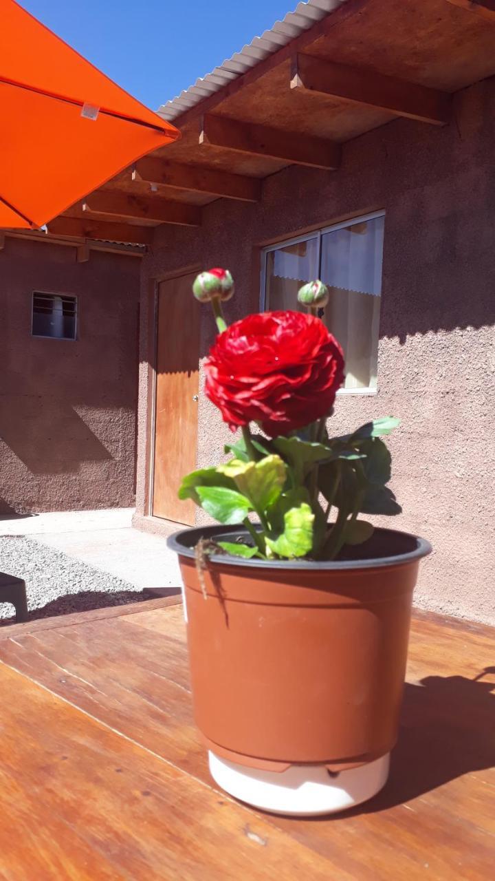 Hostal Open House San Pedro de Atacama Dış mekan fotoğraf