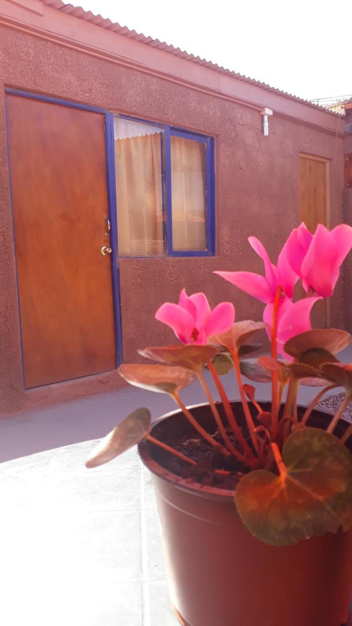 Hostal Open House Otel San Pedro de Atacama Dış mekan fotoğraf